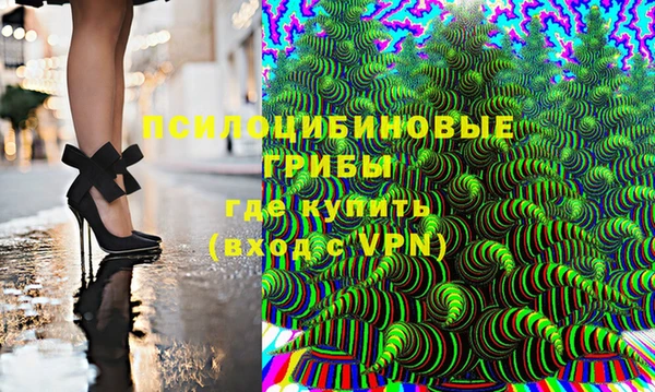 метадон Алексин