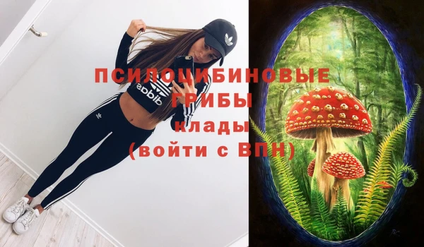 кокаин премиум Алексеевка