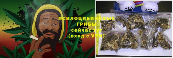 метадон Алексин