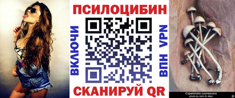 Галлюциногенные грибы Psilocybine cubensis  Азов 